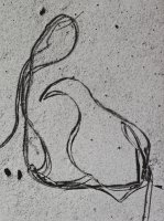 Thumbnail for Martha's Vineyard 5, …