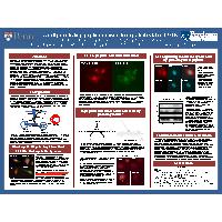 Thumbnail for A cell penetrating …