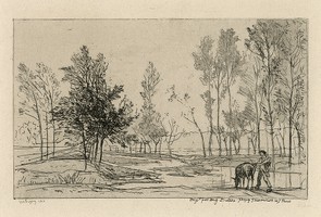 Thumbnail for Donkey at the …