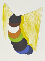 Thumbnail for Suspended Forms <small> …