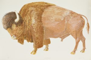 Thumbnail for Buffalo <small> (Object …