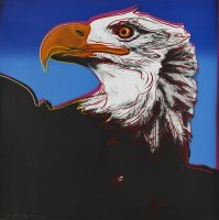 Thumbnail for Bald Eagle (Haliaetus …