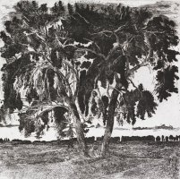 Thumbnail for Cottonwood <small> (Object …