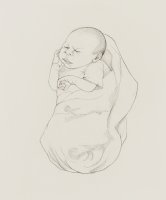 Thumbnail for Sally (Stage I) …