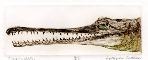 Thumbnail for Crocodile <small> (Object …