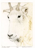Thumbnail for Billy's Goat <small> …