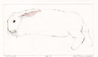 Thumbnail for Albrecht <small> (Object …