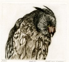 Thumbnail for Owl <small> (Object …