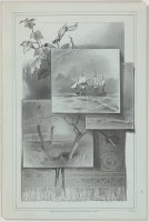 Child thumbnail