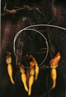 Thumbnail for Five Squash Blossoms …