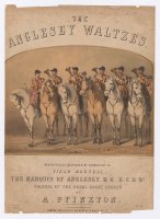 Thumbnail for The Anglesey waltzes