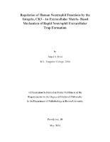 Thumbnail for Abstract of, “Regulation …