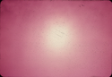 Thumbnail for Eclipse - glare …
