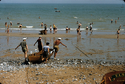 Thumbnail for Eastbourne Beach