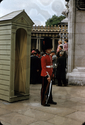 Thumbnail for Buckingham Palace