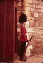 Thumbnail for Windsor Castle guard