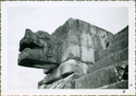 Thumbnail for Serpent's head on …