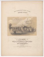 Thumbnail for The Washington Light …