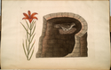 Thumbnail for The American swallow