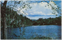 Thumbnail for Greetings from Woodbourne, …