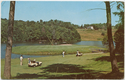 Thumbnail for Grossinger's, Grossinger, N.Y., …