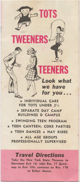 Thumbnail for Tots, tweeners, teeners; …