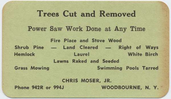 Thumbnail for Trees cut and …