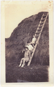Thumbnail for Pruzansky's Farm, Ira …