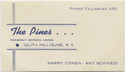 Thumbnail for The Pines, business …
