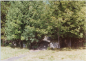 Thumbnail for Seven Gables, Trees …