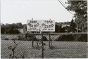 Thumbnail for Camp Bnos Belz, …
