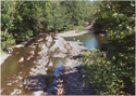 Thumbnail for Neversink River