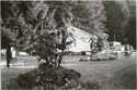 Thumbnail for Sunny Oaks Hotel