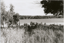 Thumbnail for Laurels Hotel and …