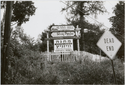 Thumbnail for Sunny Hill Bungalows …