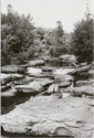 Thumbnail for Neversink River