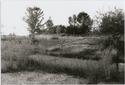 Thumbnail for Laurels Hotel and …