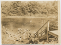 Thumbnail for Aladdin Hotel, Swimming …
