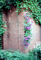 Thumbnail for Photograph of Edwin …