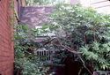 Thumbnail for Photograph of Edwin …