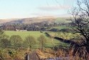 Thumbnail for Photograph of Ruskin's …