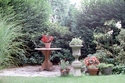 Thumbnail for Photograph of Edwin …