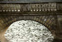 Thumbnail for Photograph of St. …