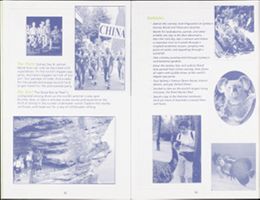 Thumbnail for Alyson Adventures records …