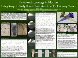 Thumbnail for Paleoanthropology in motion: …