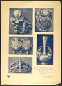 Thumbnail for Item from William …