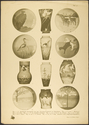 Thumbnail for Item from William …