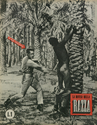 Thumbnail for La difesa della …