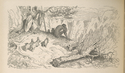 Thumbnail for Don Quixote contemplates …