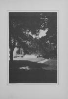 Child thumbnail